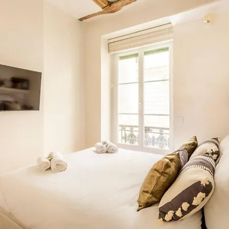 Apartment Marais-picasso, Rue Debelleyme - 4 People